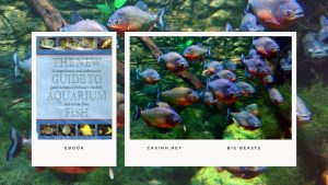 [Ebook] The New Guide to Aquarium Fish - Characins - Big Beasts
