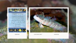 [Ebook] The New Guide to Aquarium Fish - Miscellaneous Freshwater Fishes - Gobies