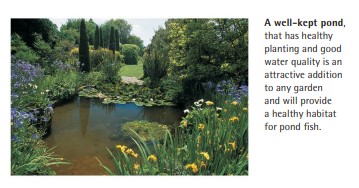 A well-kept pond, that has healthy planting and good water quality is an attractive addition to any garden and will provide a healthy habitat for pond fish.
