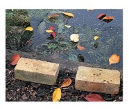 Removing leaves in the fall is easier if netting is placed over the surface of the pond.