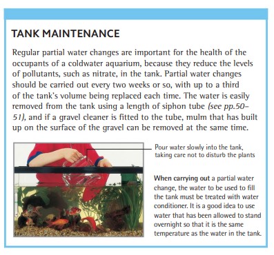 When carrying out a partial water change, the water to be used to fill the tank must be treated with water conditioner. It is a good idea to use water that has been allowed to stand overnight so that it is the same temperature as the water in the tank.
