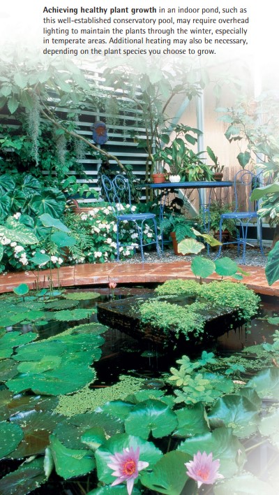 Achieving healthy plant growth in an indoor pond, such as this well-established conservatory pool, may require overhead lighting to maintain the plants through the winter, especially in temperate areas. Additional heating may also be necessary, depending on the plant species you choose to grow.