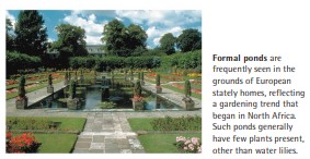 Formal ponds are frequently seen in the grounds of European stately homes, reflecting a gardening trend that began in North Africa. Such ponds generally have few plants present, other than water lilies.