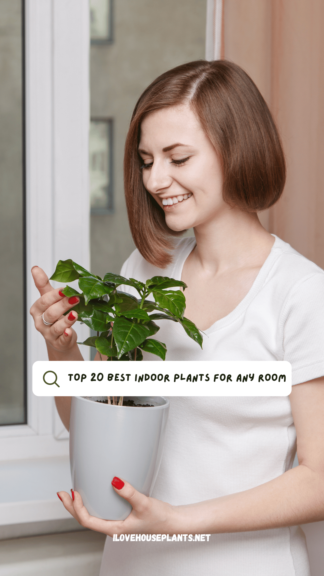 Houseplants Top 20 Best Indoor Plants For Any Room 4627