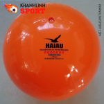 HAcam250g 2