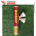 basaothi 2