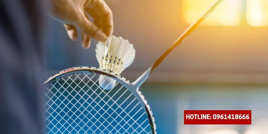 Bạn đang phân vân không biết nên chọn vợt cầu lông như thế nào? Bạn muốn tìm hiểu về các thông số của vợt để có thể chọn ra một cây vợt phù hợp nhất với mình? Qua bài viết này, Thể Thao 365 sẽ chia sẻ với bạn cách chọn vợt cầu lông cho người mới chơi. Hi vọng, bạn sẽ có thêm nhiều kiến thức để có thể tận hưởng bộ môn này một cách trọn vẹn nhất…