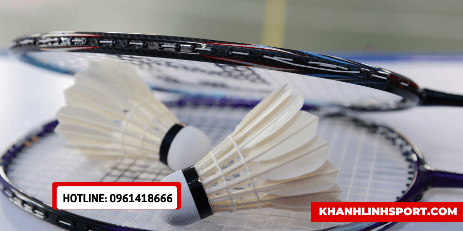 Khánh Linh Sport – Cửa Hàng Bán Buôn, Bán Lẻ vợt cầu lông rẻ