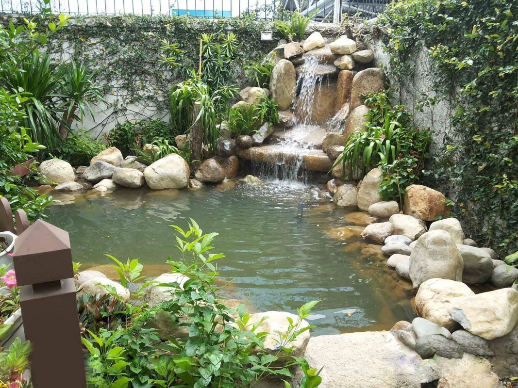 Thiết kế và thi công hồ cá Koi có thác nước uy tín- Hà Nội, Lào Cai, Thái Bình - Gọi 0976870033