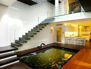 Cách Tiết Kiệm Chi Phí Thiết Kế, Thi Công Hồ Cá Koi