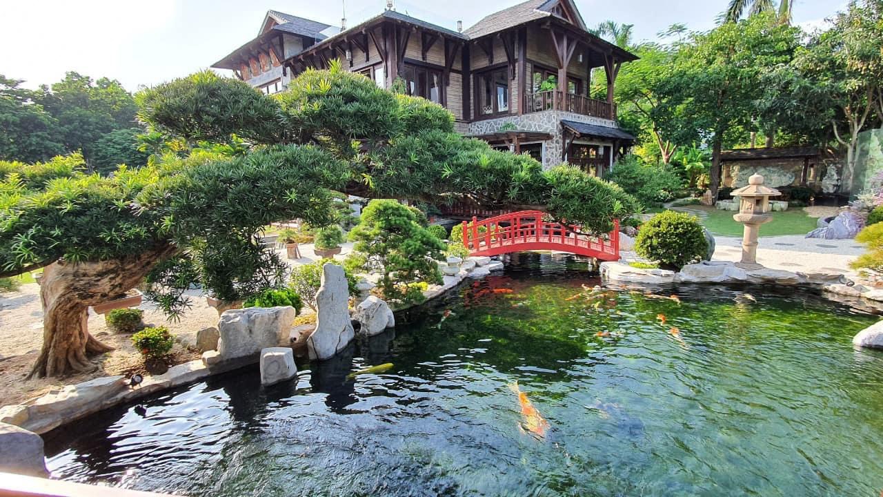 Dịch Vụ Thiết Kế Thi Công Hồ Koi Nhật Bản Uy Tín – Chất Lượng – Bảo Hành Dài Hạn – Gọi 0976870033