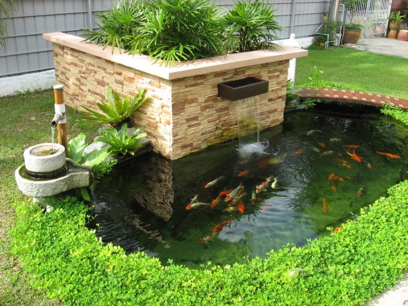 Xây Dựng Và Cải Tạo Hệ Thống Lọc Nước Cho Hồ Cá Koi Ngoài Trời Xây Dựng Và Cải Tạo Hệ Thống Lọc Nước Cho Hồ Cá Koi Ngoài Trời