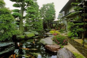 Một Số Khó Khăn Khi Thiết Kế, Thi Công Hồ Cá Koi