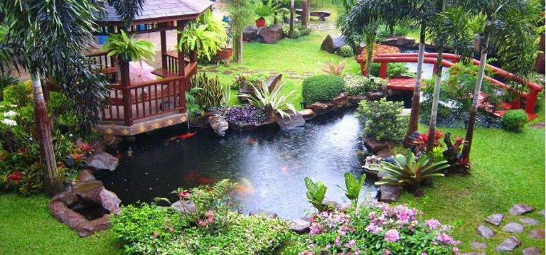 Lưu ý Cần Biết Khi Muốn Xây Dựng Hồ Cá Koi ở Sân Vườn Lưu ý Cần Biết Khi Muốn Xây Dựng Hồ Cá Koi ở Sân Vườn