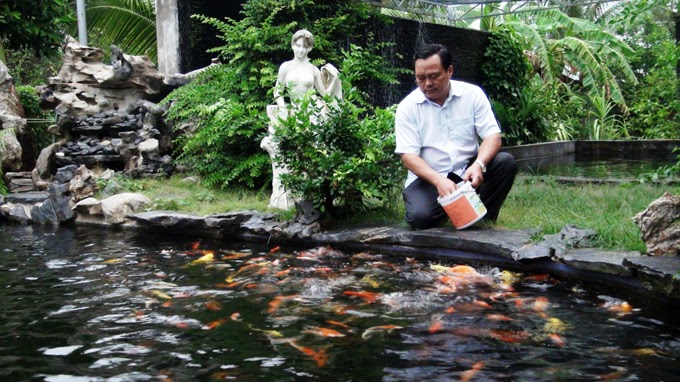 Hà Nội làm hồ cá Koi chuyên nghiệp - Bảo hành dài hạn