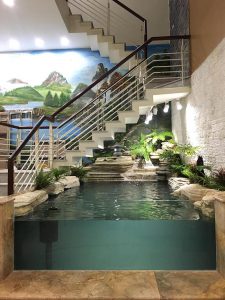 Thiết Kế Bể Cá Koi Bằng Kính