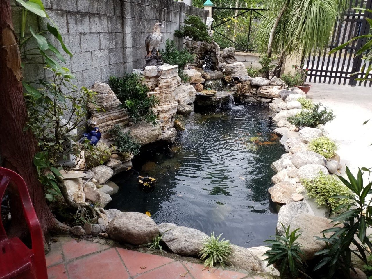 Hà Nội thi công hồ cá Koi - Uy tín - Giá rẻ - Gọi 0976870033