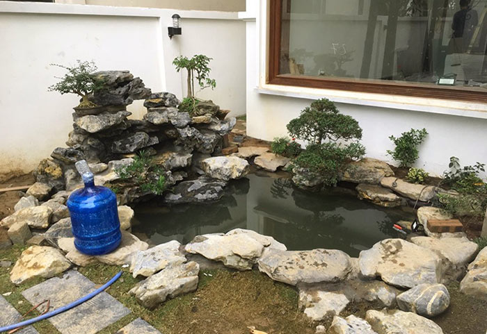 Hà Nội – Hướng Dẫn Xây Hồ Cá Koi Mini Xi Măng Ngoài Trời Làm đẹp Sân Vườn