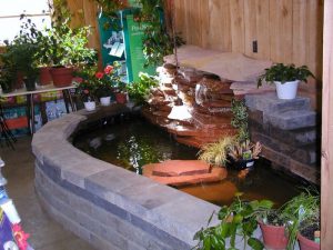 Quy Trình Thi Công Hồ Cá Koi Mini Tại Nhà