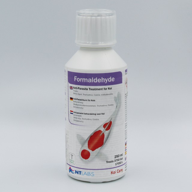 Các Tỉnh Phía Bắc – Thiết Kế Và Thi Công Hồ Cá Koi – Gọi 0976870033 Mẫu hồ cá koi tuyệt đẹp ở công viên đá Nhật Bản