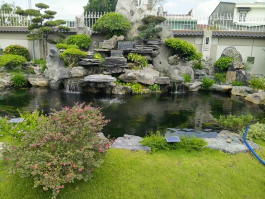 Dịch Vụ Tư Vấn Thiết Kế Thi Công Hồ Cá Koi – Bảo Hành Dài Hạn, Uy Tín