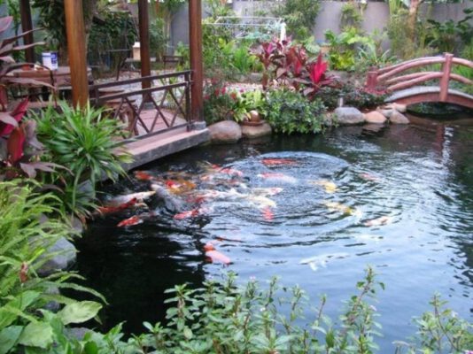 Thi Công, Thiết Kế Hồ Cá Koi Chuẩn đẹp Tại Hà Nội – Giá Rẻ, Uy Tín, Bảo Hành Dài Hạn Thi Công, Thiết Kế Hồ Cá Koi Chuẩn đẹp Tại Hà Nội – Giá Rẻ, Uy Tín, Bảo Hành Dài Hạn