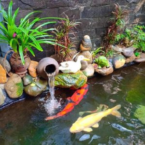 Thiết Kế Hồ Cá Koi Ngoài Trời đẹp đơn Giản – Koixinh – Gọi 0976870033 Thiết Kế Hồ Cá Koi Ngoài Trời đẹp đơn Giản – Koixinh – Gọi 0976870033