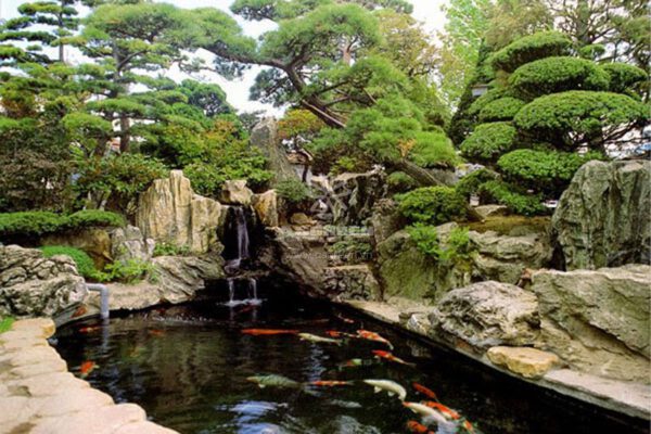 Hồ Cá Koi Nhật Bản đạt Chuẩn được Thi Công Bơi Koixinh Tại Hà Nội – Giá Rẻ, Uy Tín – Gọi 0976870033