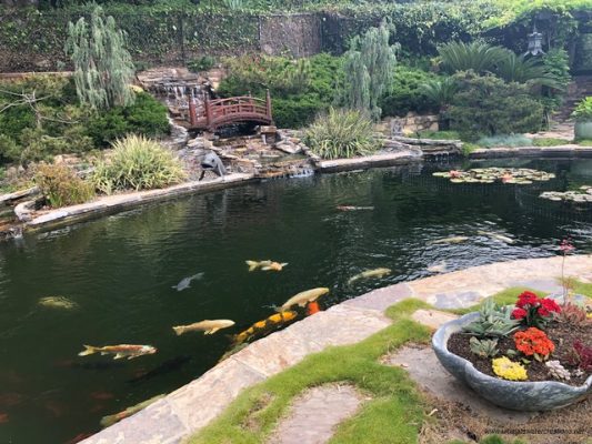 Thi Công Thiết Kế Hồ Cá Koi Hà Nội Uy Tín, Bảo Hành – Gọi 0976870033 Thi Công Thiết Kế Hồ Cá Koi Hà Nội Uy Tín, Bảo Hành – Gọi 0976870033