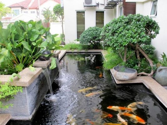 Thi Công Hồ Cá Koi Cao Cấp – Uy Tín, Chuyên Nghiệp Tại Hà Nội – Hotline: 0976870033 Thi Công Hồ Cá Koi Cao Cấp – Uy Tín, Chuyên Nghiệp Tại Hà Nội – Hotline: 0976870033