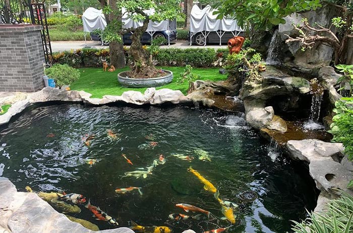Thi Công Hồ Cá Koi đạt Chuẩn Yêu Cầu Tại Hà Nội – Bảo Hành Dài Hạn – Hotline 0976870033 Thi Công Hồ Cá Koi đạt Chuẩn Yêu Cầu Tại Hà Nội – Bảo Hành Dài Hạn – Hotline 0976870033