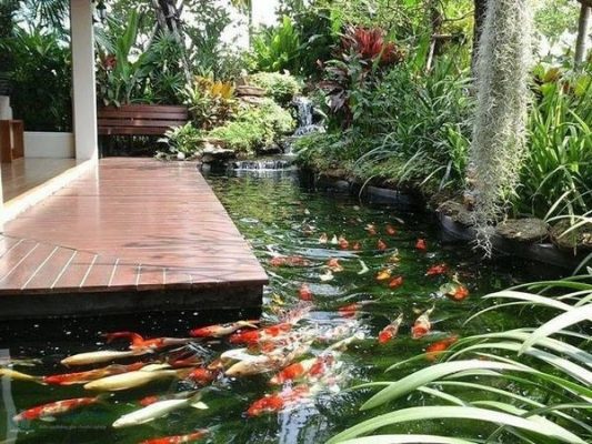 Hồ Koi Hợp Phong Thủy – Thi Công, Thiết Kế Hồ Cá Koi đẹp Tại Hà Nội – Hotline 0976870033 Hồ Koi Hợp Phong Thủy – Thi Công, Thiết Kế Hồ Cá Koi đẹp Tại Hà Nội – Hotline 0976870033