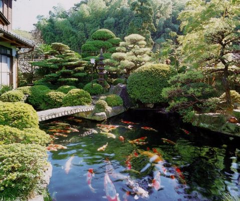 Thiết Kế, Thi Công Hồ Cá Koi Sân Vườn Nhật Bản Giá Rẻ, Uy Tín – Bảo Hành Dài Hạn – Hotline 0976870033