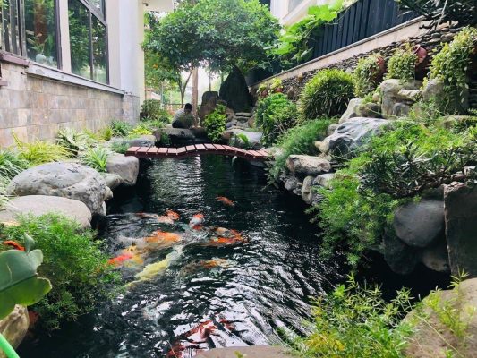 Uông Bí Thi Công Hồ Koi – Chuyên Nghiệp – Uy Tín – Bảo Hành Dài Hạn – Liên Hệ 0976870033 Uông Bí Thi Công Hồ Koi – Chuyên Nghiệp – Uy Tín – Bảo Hành Dài Hạn – Liên Hệ 0976870033