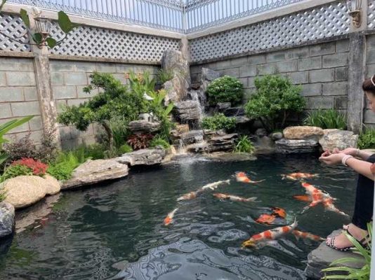 Uông Bí Thi Công Hồ Koi – Chuyên Nghiệp – Uy Tín – Bảo Hành Dài Hạn – Liên Hệ 0976870033 Uông Bí Thi Công Hồ Koi – Chuyên Nghiệp – Uy Tín – Bảo Hành Dài Hạn – Liên Hệ 0976870033