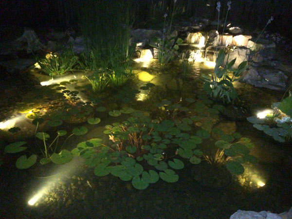 Làm Thế Nào để Xây Dựng Một Hồ Cá Koi Với Một Thác Nước Mà Bạn Sẽ Yêu Thích
