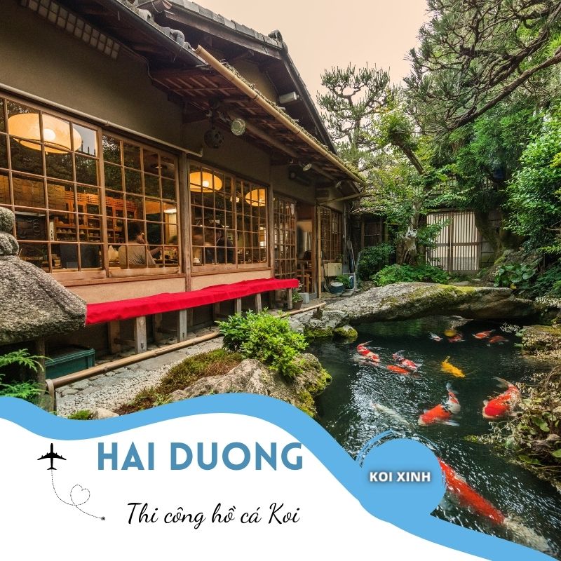 Hải Dương Thi Công Hồ Cá Koi Giá Rẻ Uy Tín – Hotline 0976870033