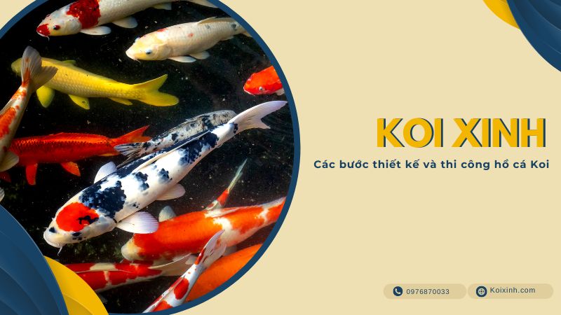 Tìm Hiểu Thêm Về Hồ Cá Koi – Các Bước Thiết Kế Và Thi Công Hồ Cá Koi