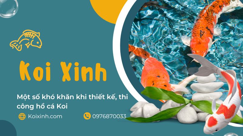 Một Số Khó Khăn Khi Thiết Kế, Thi Công Hồ Cá Koi