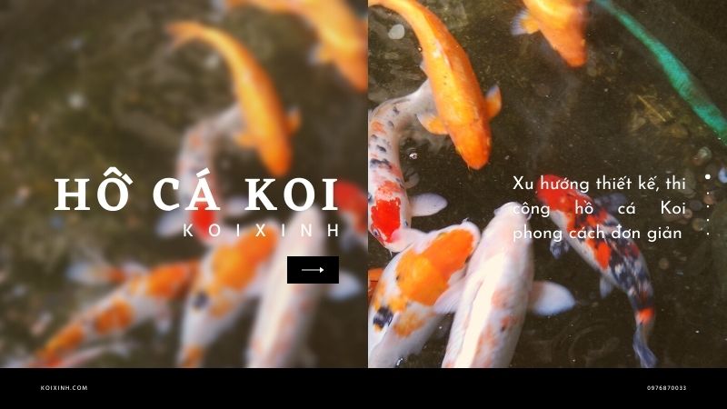 Xu Hướng Thiết Kế, Thi Công Hồ Cá Koi Phong Cách đơn Giản