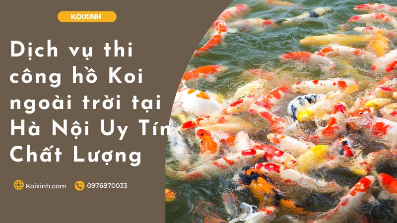Dịch Vụ Thi Công Hồ Koi Ngoài Trời Tại Hà Nội Uy Tín – Chất Lượng – Bảo Hành Dài Hạn – Gọi 0976870033