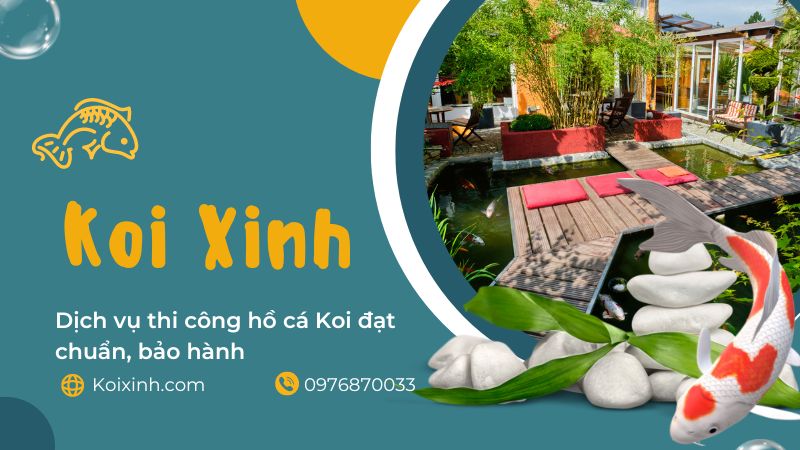 Dịch Vụ Thi Công Hồ Cá Koi đạt Chuẩn, Bảo Hành – Gọi 0976870033
