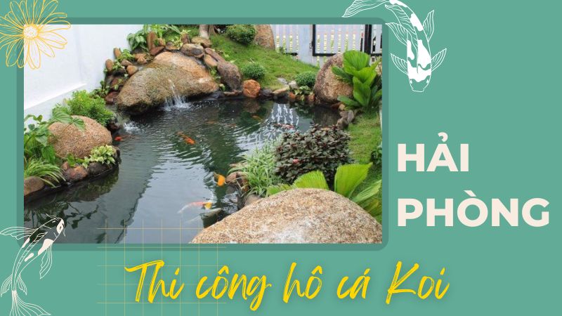 Hải Phòng – Thi Công Hồ Cá Koi Giá Thành Hợp Lý – Hotline: 0976870033