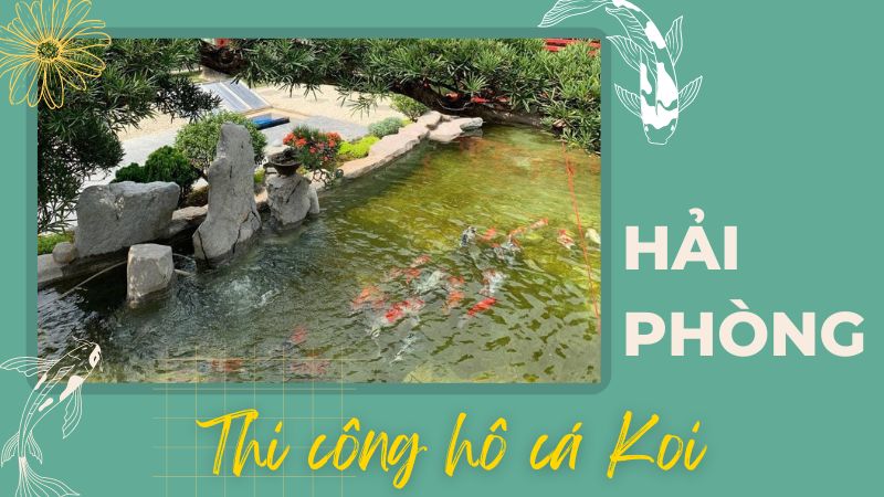 Hải Phòng – Thi Công Hồ Cá Koi Giá Thành Hợp Lý – Hotline: 0976870033