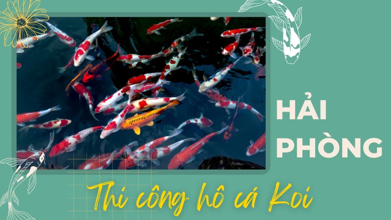 Hải Phòng – Thi Công Hồ Cá Koi Giá Thành Hợp Lý – Hotline: 0976870033