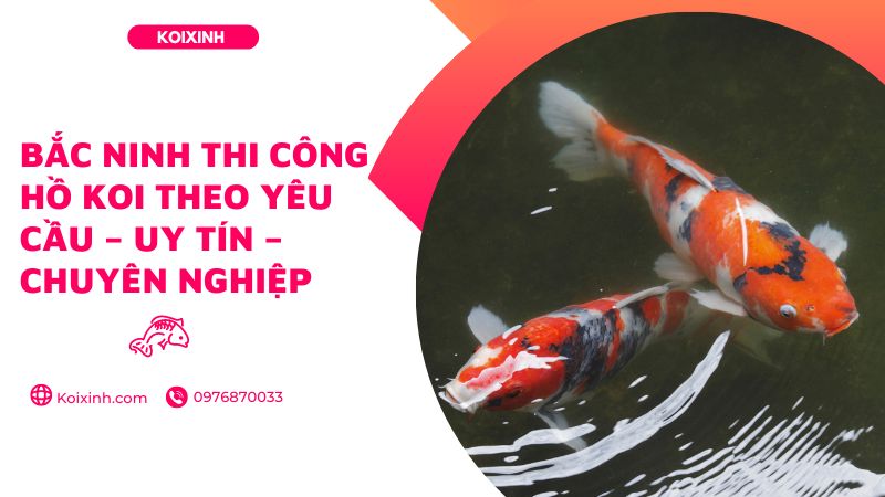 Bắc Ninh Thi Công Hồ Koi Theo Yêu Cầu – Uy Tín – Chuyên Nghiệp – Bảo Hành Dài Hạn – Gọi 0976870033