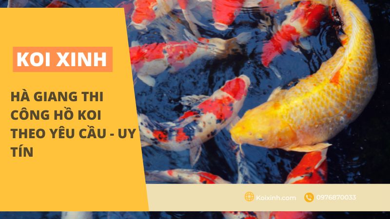 Hà Giang Thi Công Hồ Koi Theo Yêu Cầu – Uy Tín – Chất Lượng – Bảo Hành Dài Hạn – Gọi 0976870033