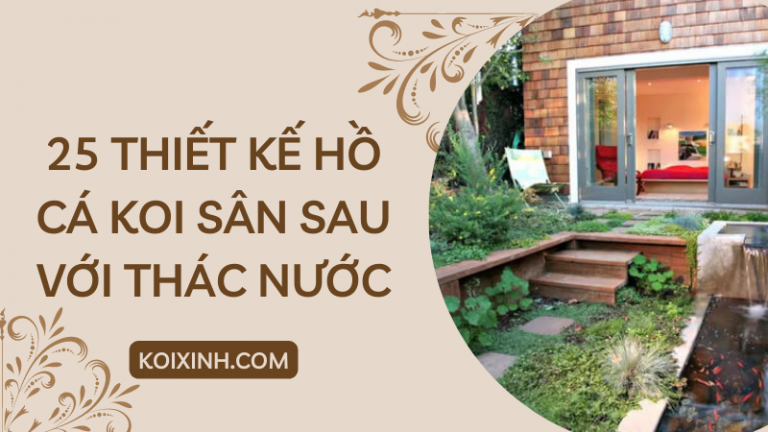 25 Thiết Kế Ao Cá Koi Sân Sau Tuyệt đẹp Với Thác Nước