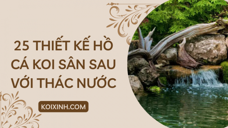 25 Thiết Kế Ao Cá Koi Sân Sau Tuyệt đẹp Với Thác Nước