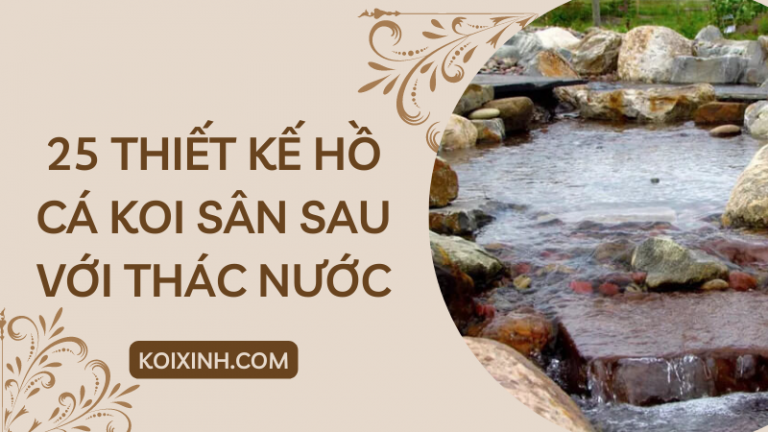 25 Thiết Kế Ao Cá Koi Sân Sau Tuyệt đẹp Với Thác Nước